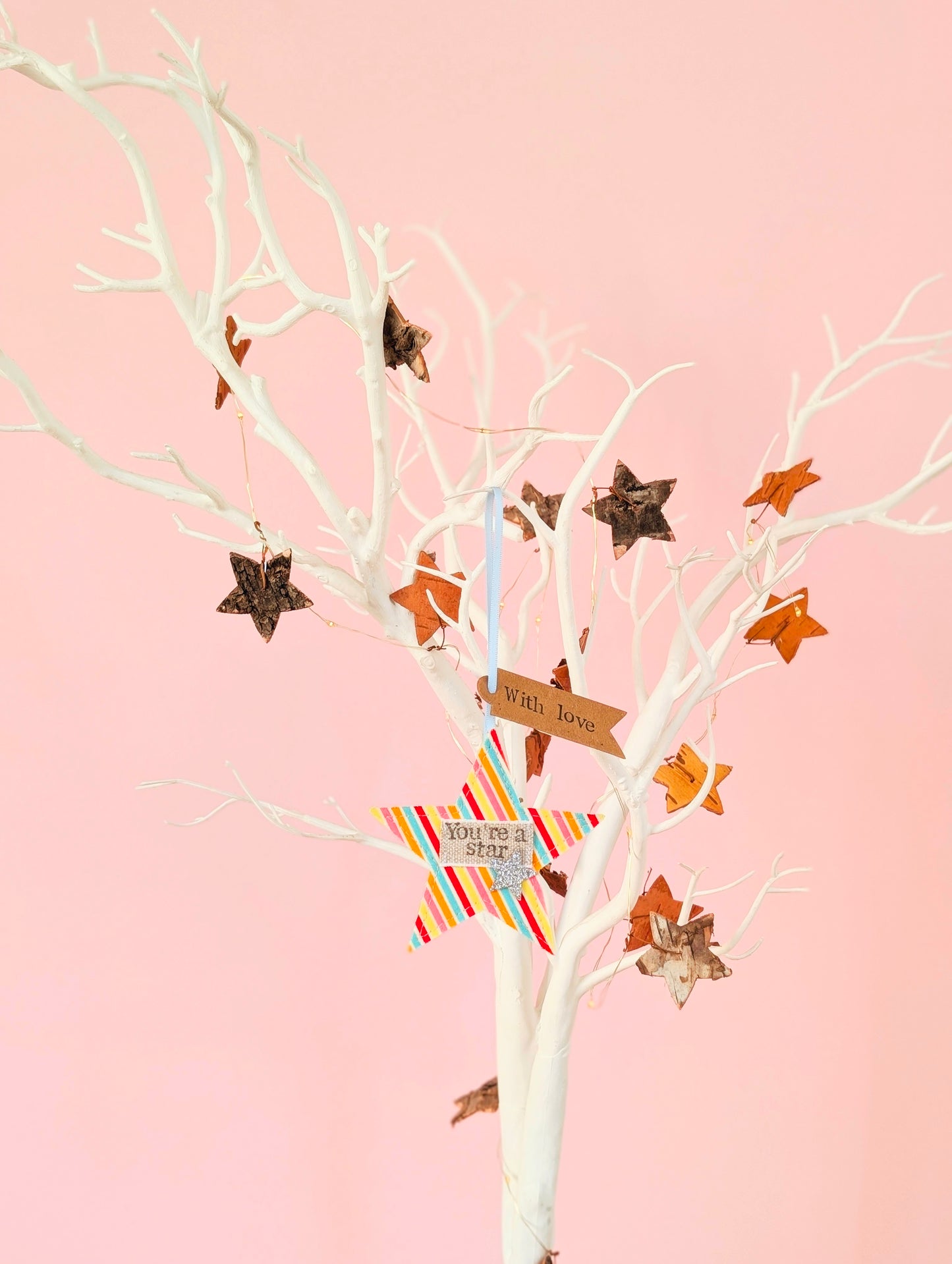 'You're a star' hanging star decoration with plantable wildflower seed backing card