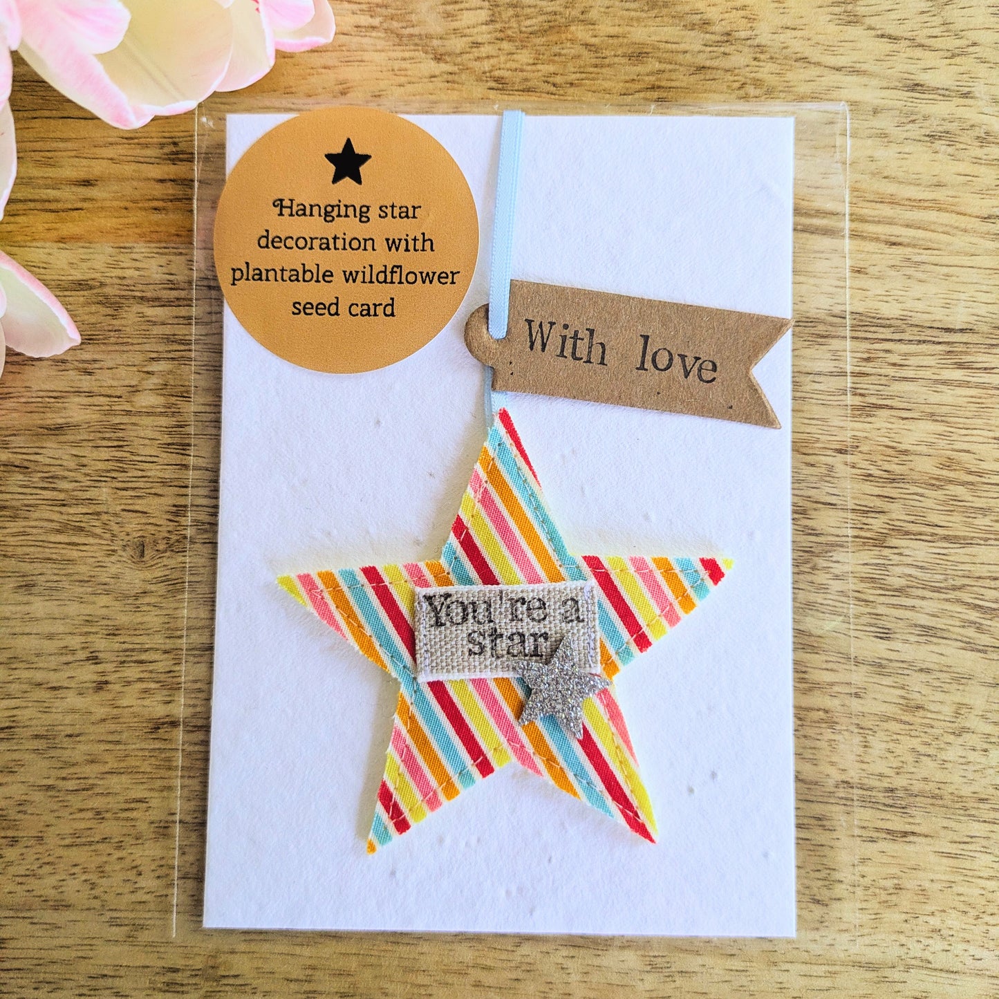 'You're a star' hanging star decoration with plantable wildflower seed backing card
