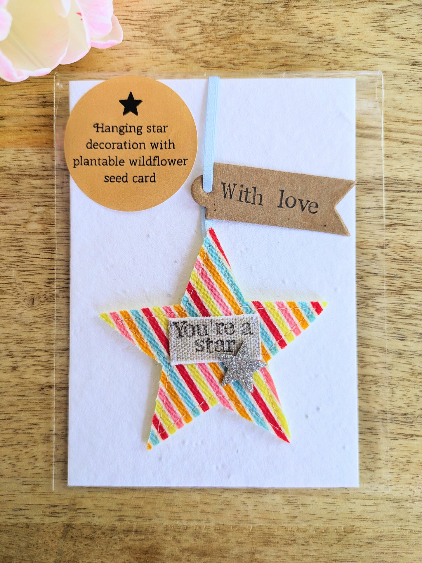 'You're a star' hanging star decoration with plantable wildflower seed backing card