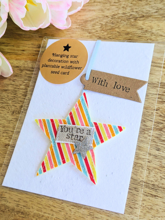 'You're a star' hanging star decoration with plantable wildflower seed backing card
